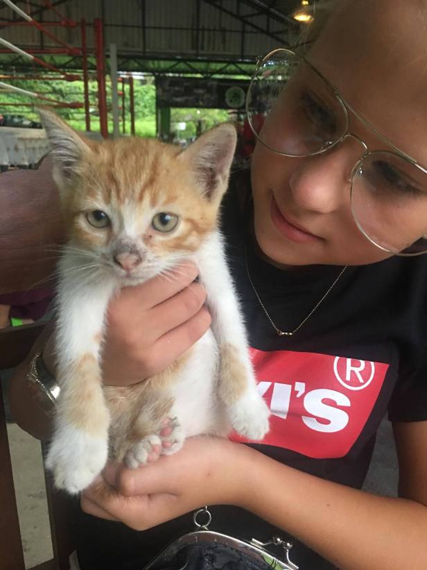 22473713_10154680134506486_1021512965_o